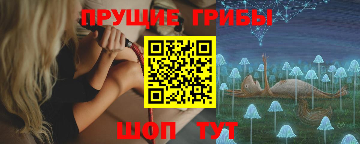 Галлюциногенные грибы Psilocybe  Вход с VPN  Краснокаменск 
